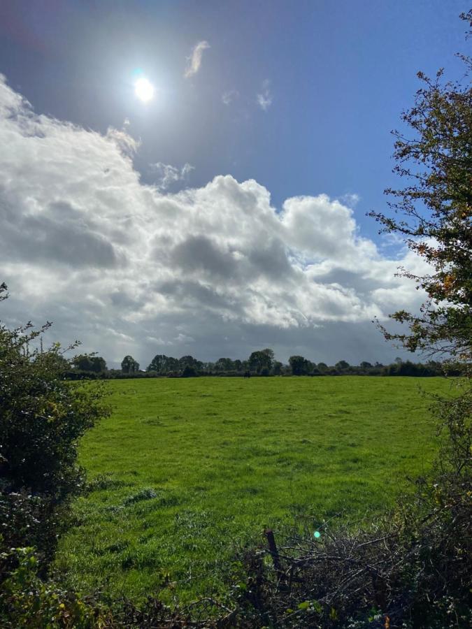 Katie'S Cottage Limerick Junction Εξωτερικό φωτογραφία