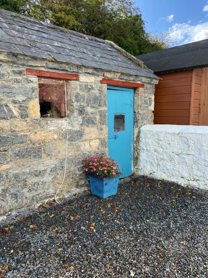 Katie'S Cottage Limerick Junction Εξωτερικό φωτογραφία